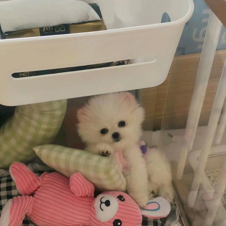 春夏秋冬#