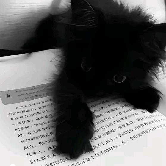 得过且过