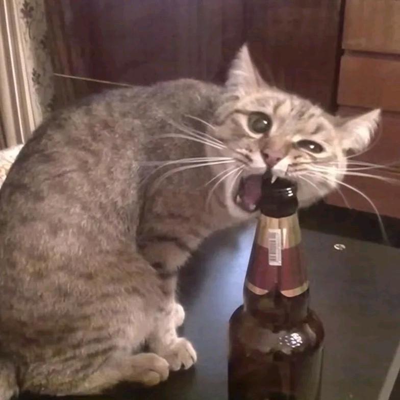 向男神卖萌惨遭毒打