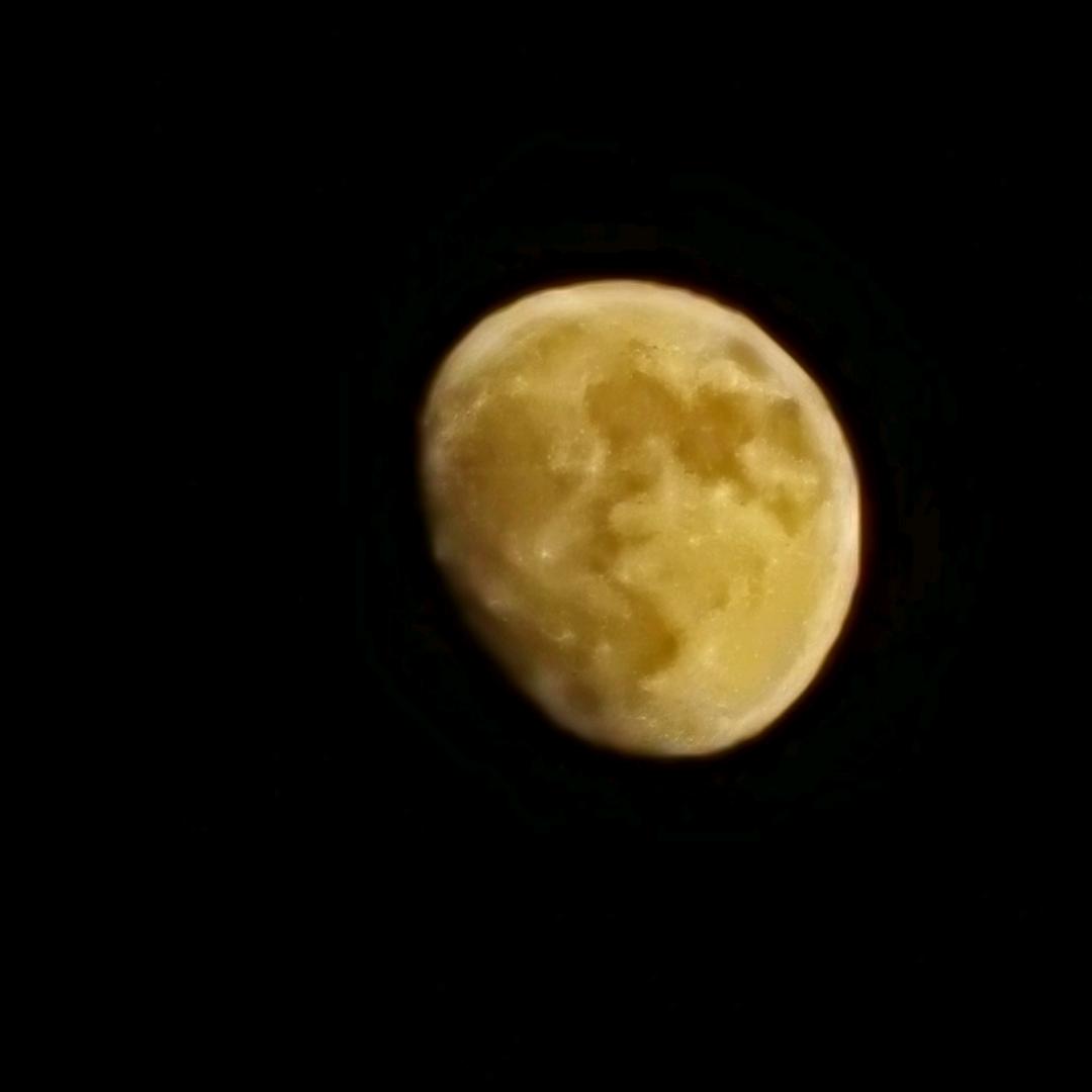夜太美