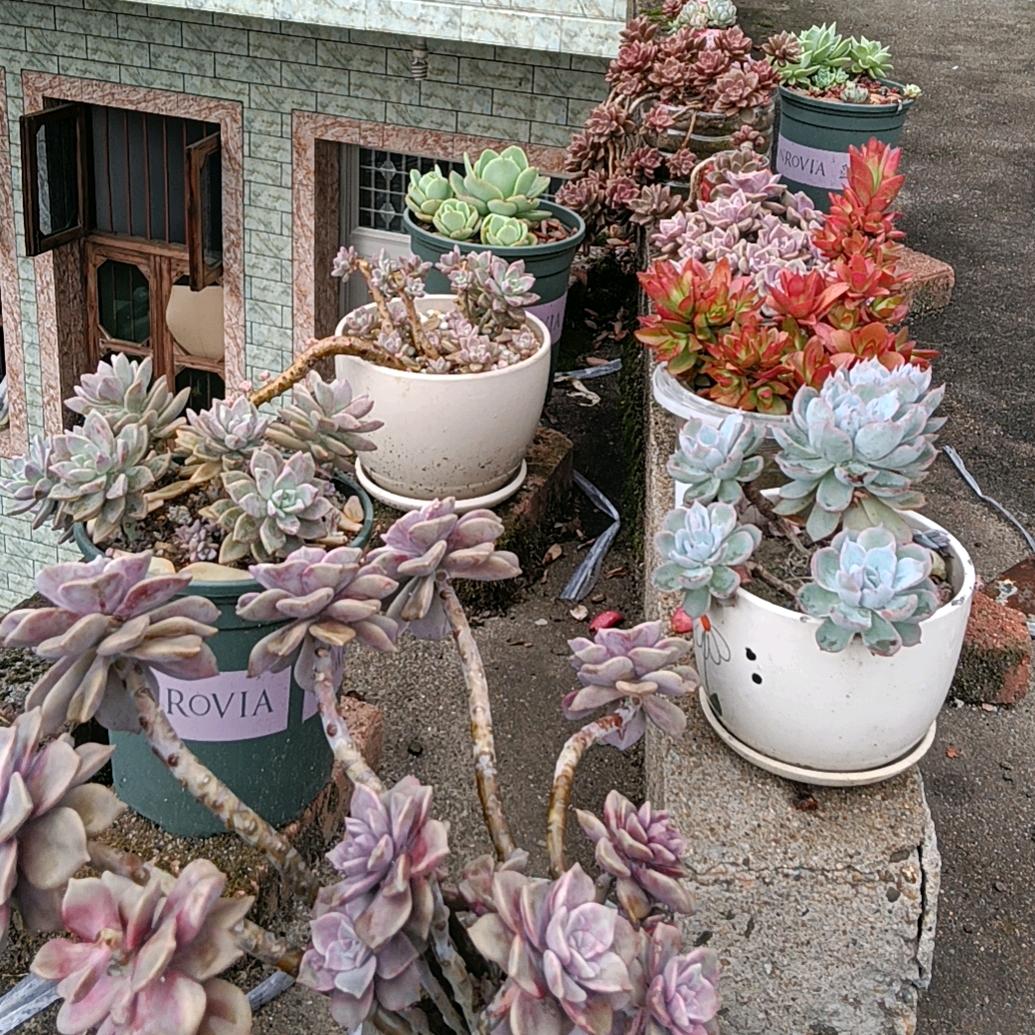 亭子 皮肤管理中心