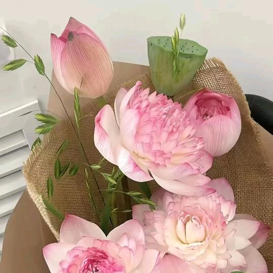 安琪.威莱雅洗护