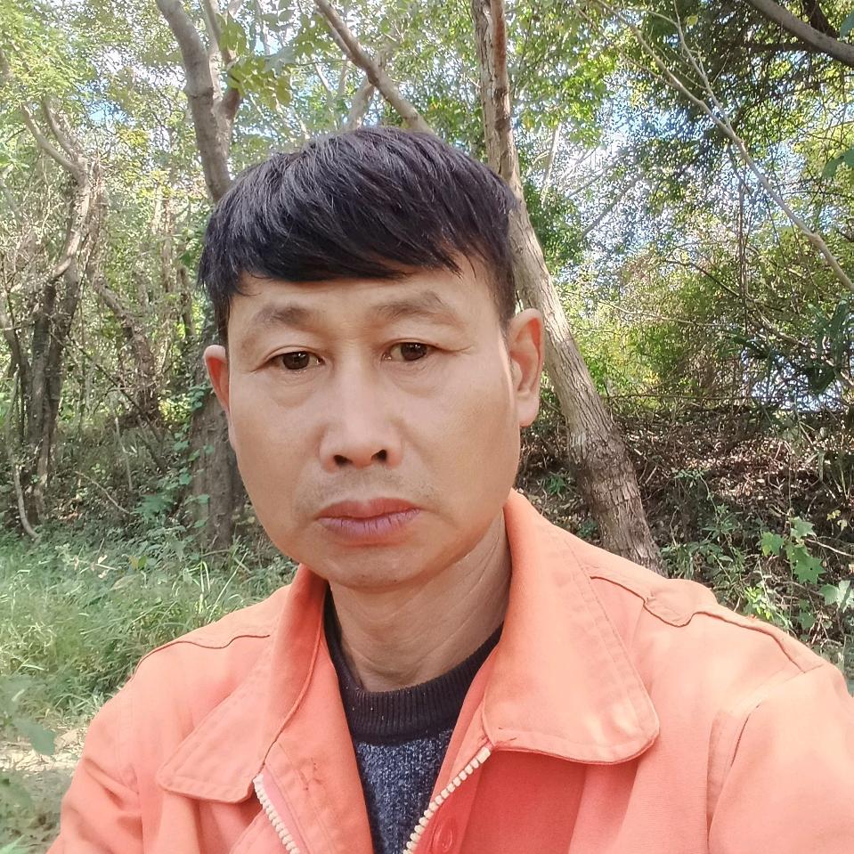 🌷🌺家国一路平安🌻🌹