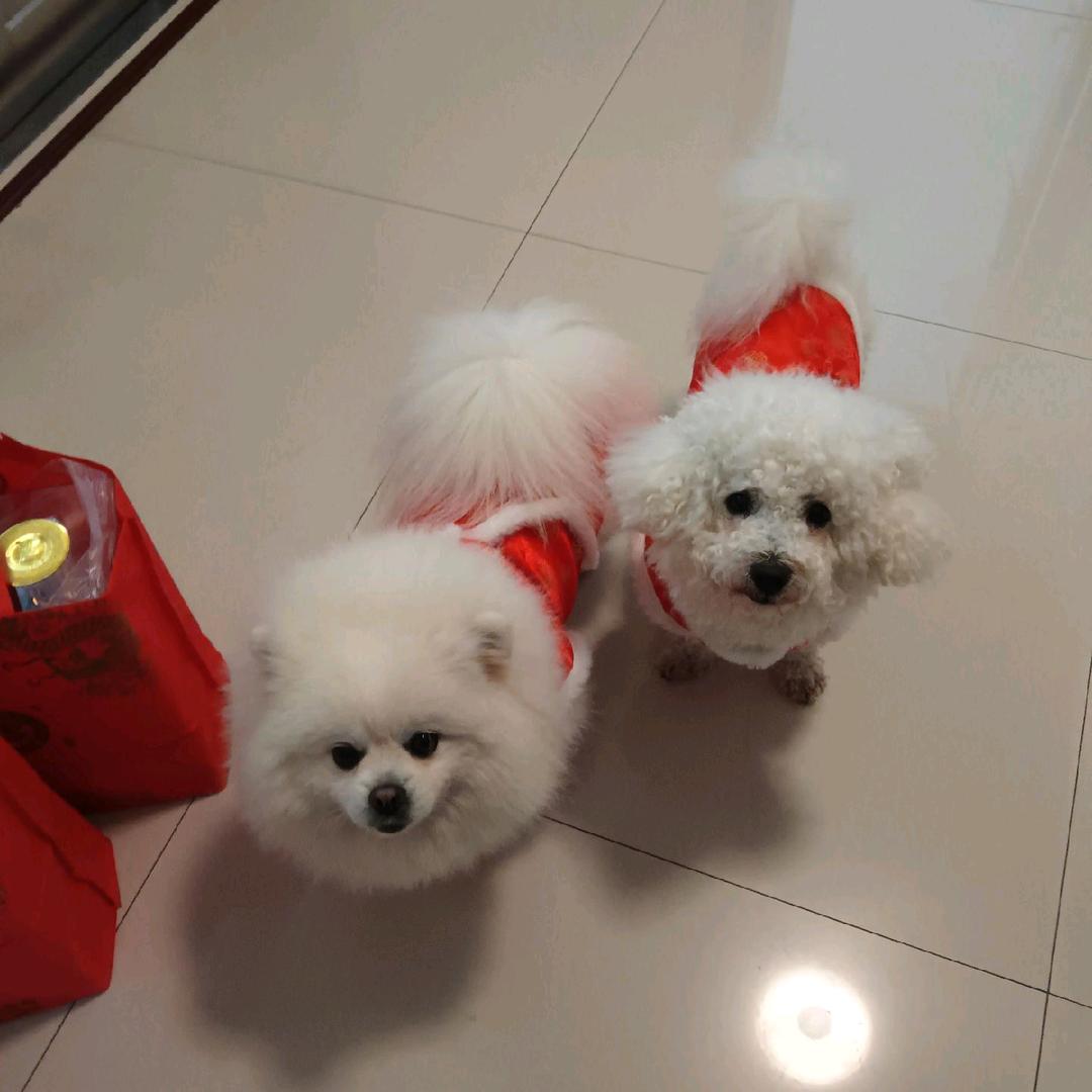 开心果🤗🤗🤗