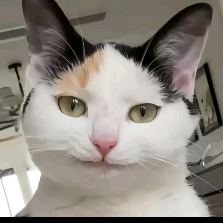 被老婆抓到我和她老公躺在一起的那一天