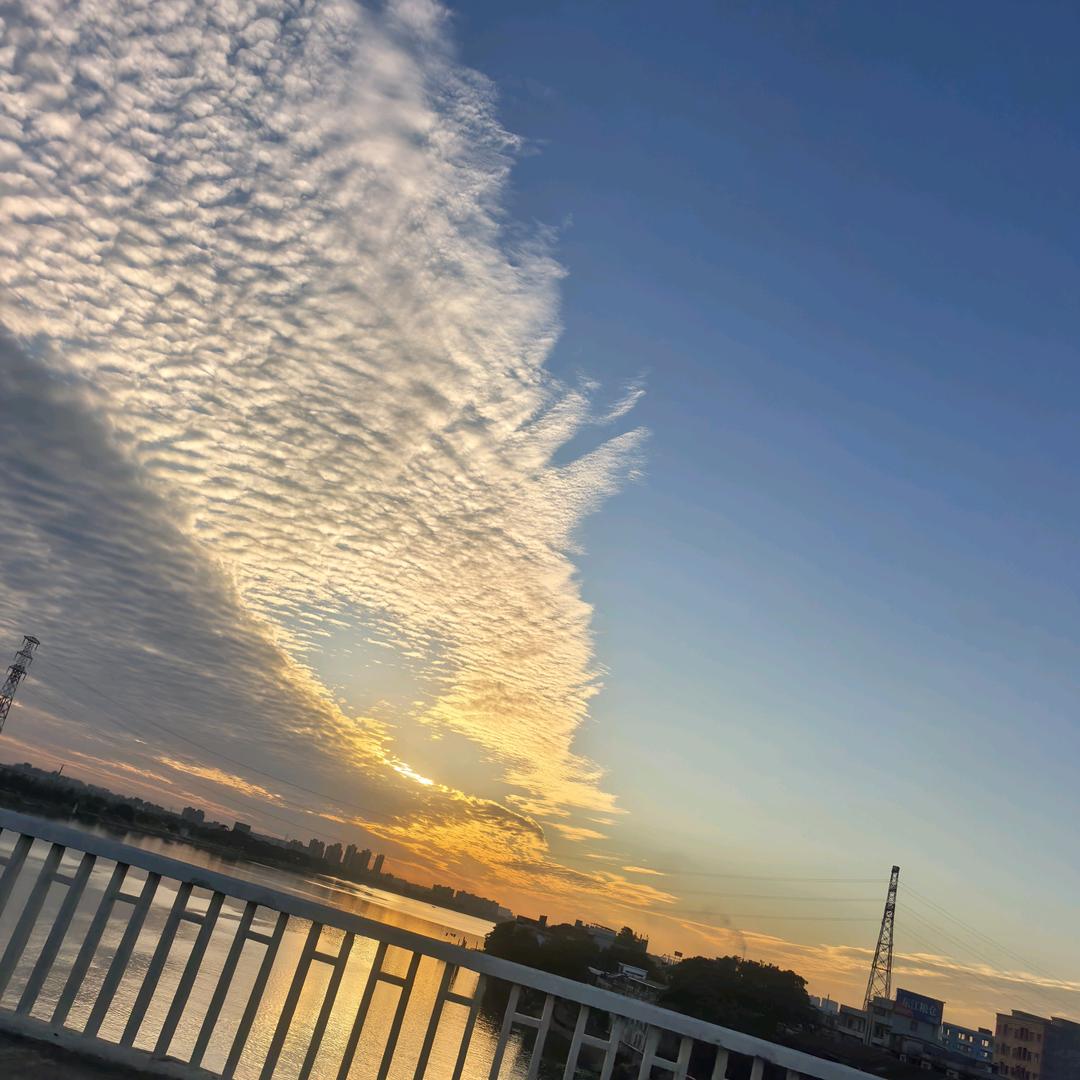 鱼子酱（情感号）