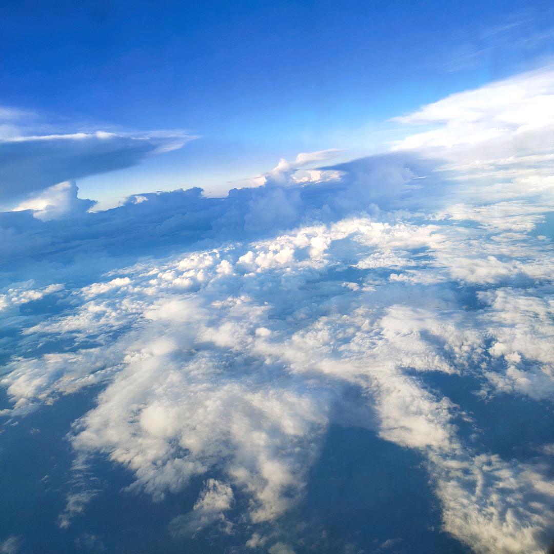 🌸🌈💐锦鲤附体💐🌈🌸