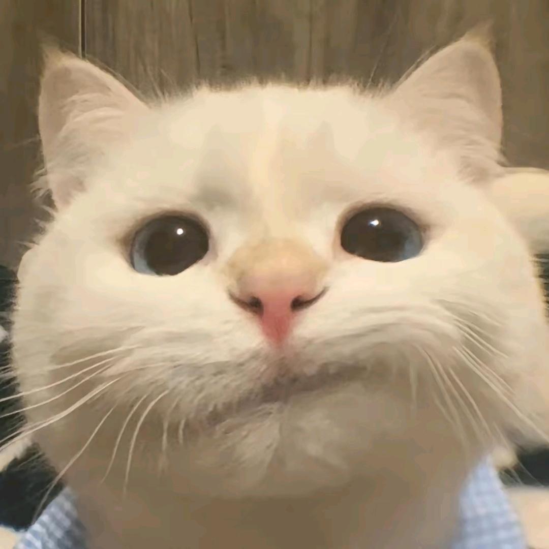 精致天花板🫤
