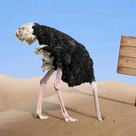 重庆仕亨鸵鸟养殖基地