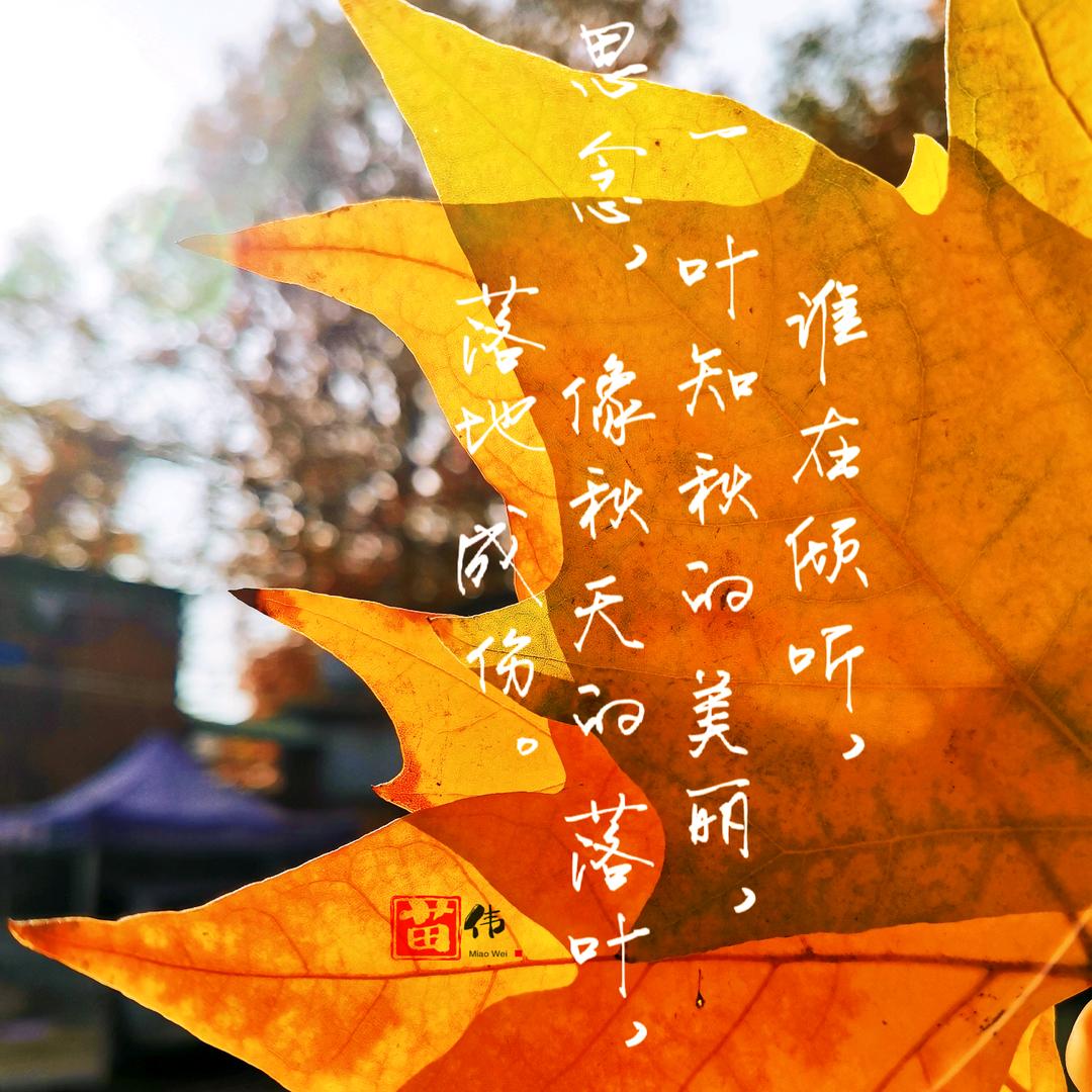 苗小焰
