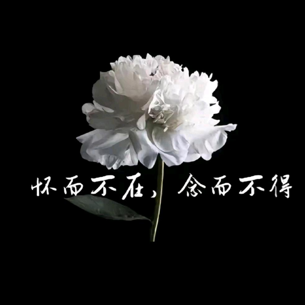 🐲ஜัั阿福ৡৡৡৡৡ