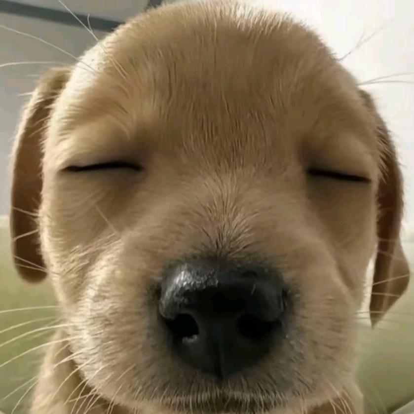 欢玺