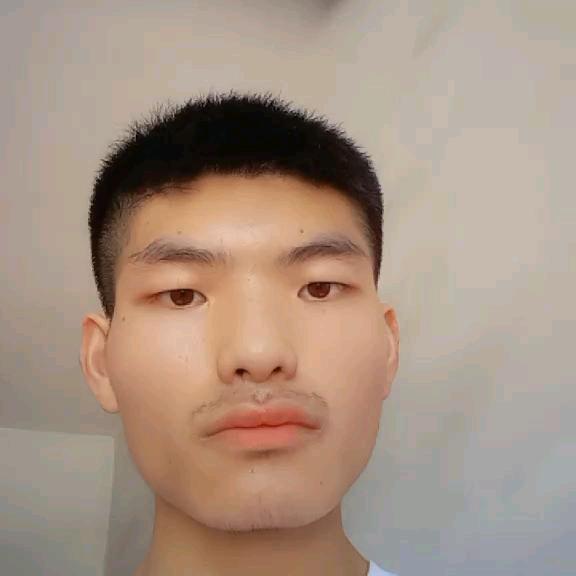今年一路发发发