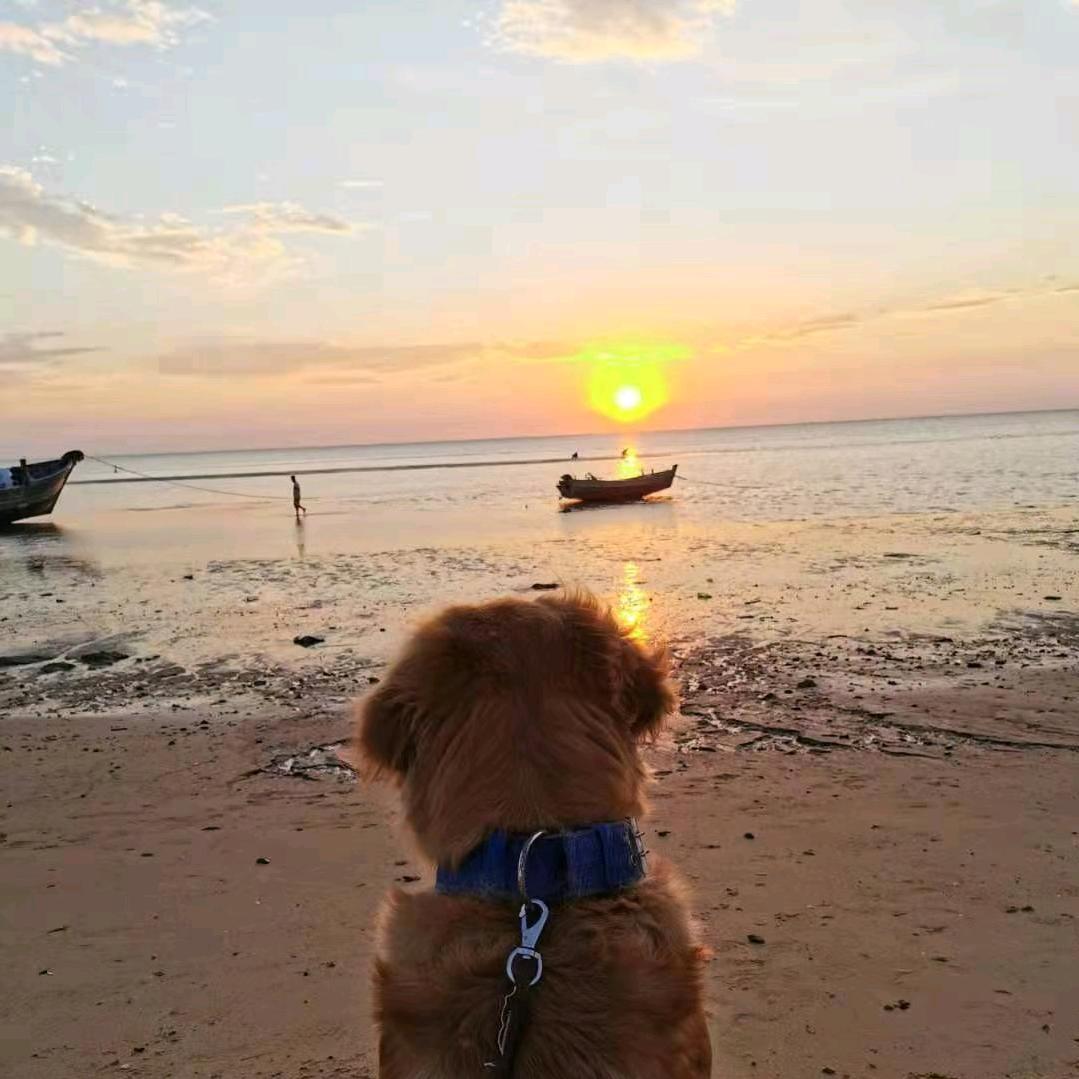 提莫的粑粑呀୧⍤⃝☭