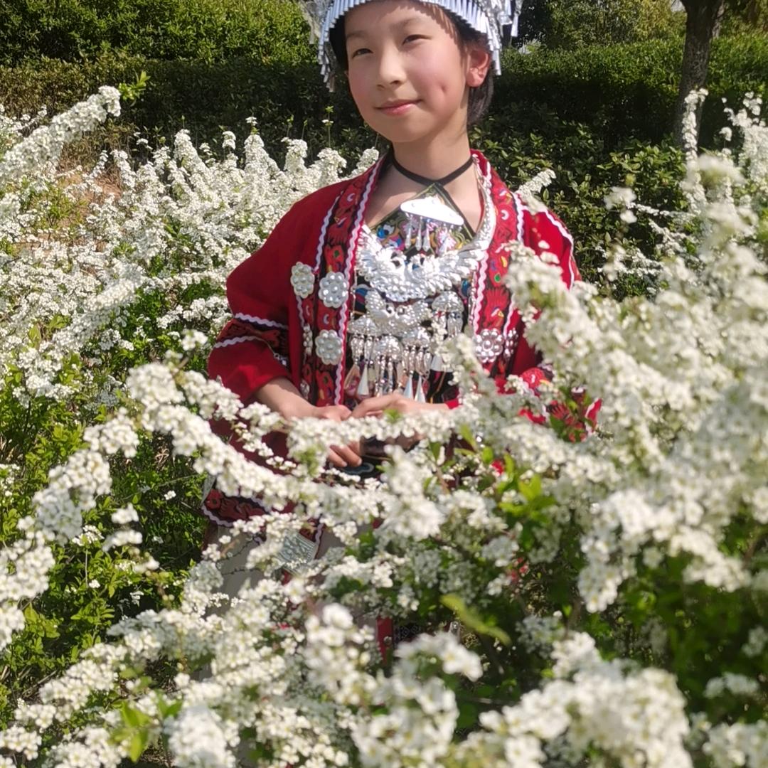 红玫瑰