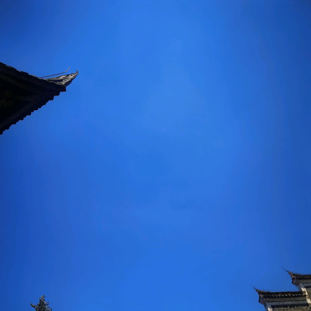 牛的春天