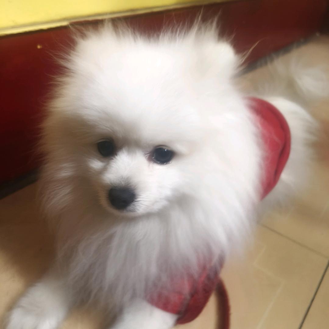 下图因此今天给