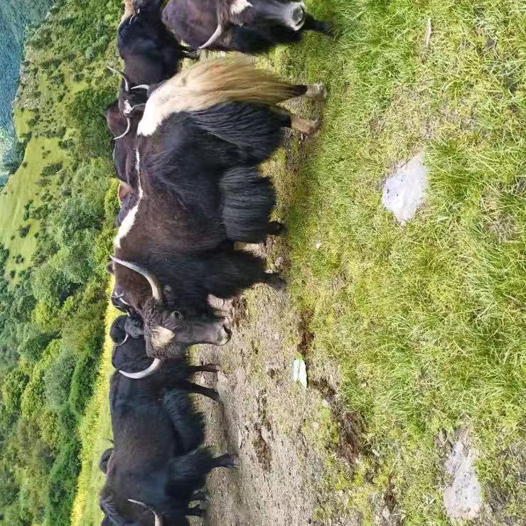 美丽的世界