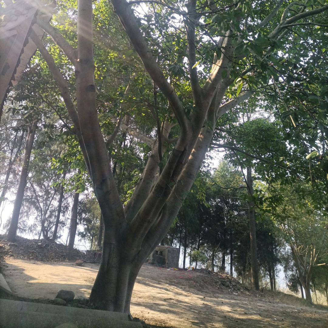 路遥知马力