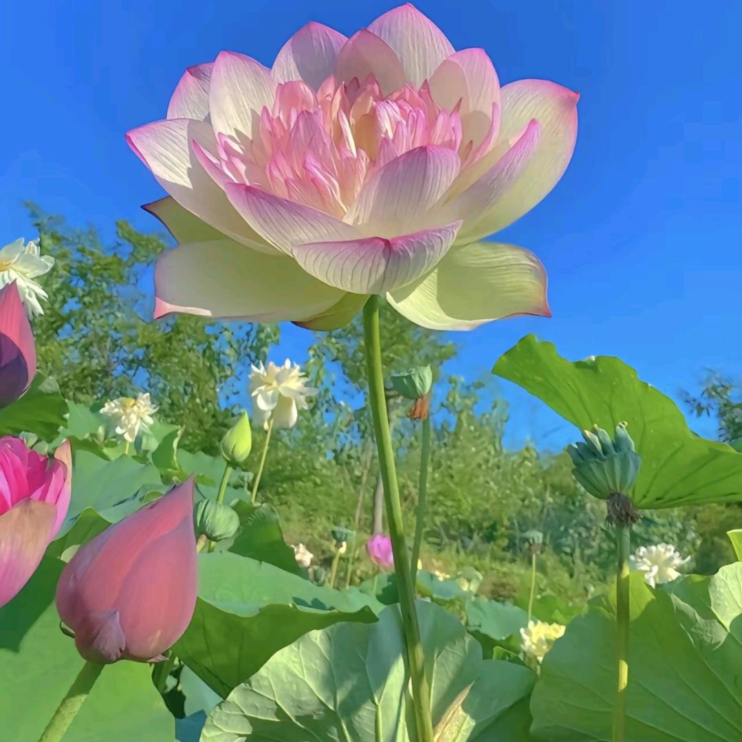 🥀᭄山清水秀꧔ꦿᩚ💕