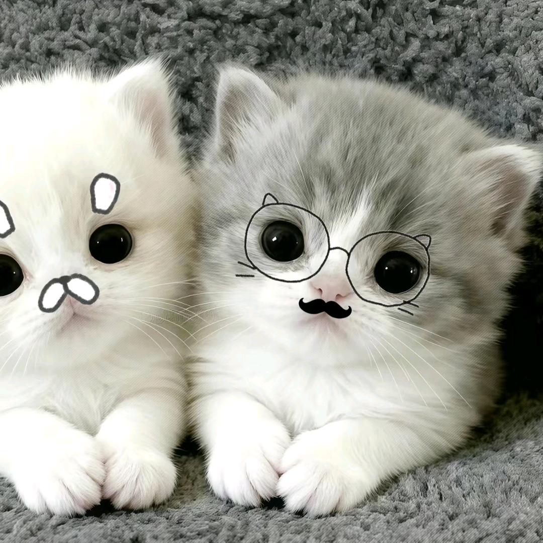 上学装忧郁被叫家长