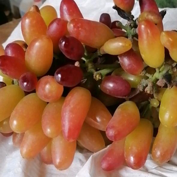 杨哥彩钢瓦制作安装