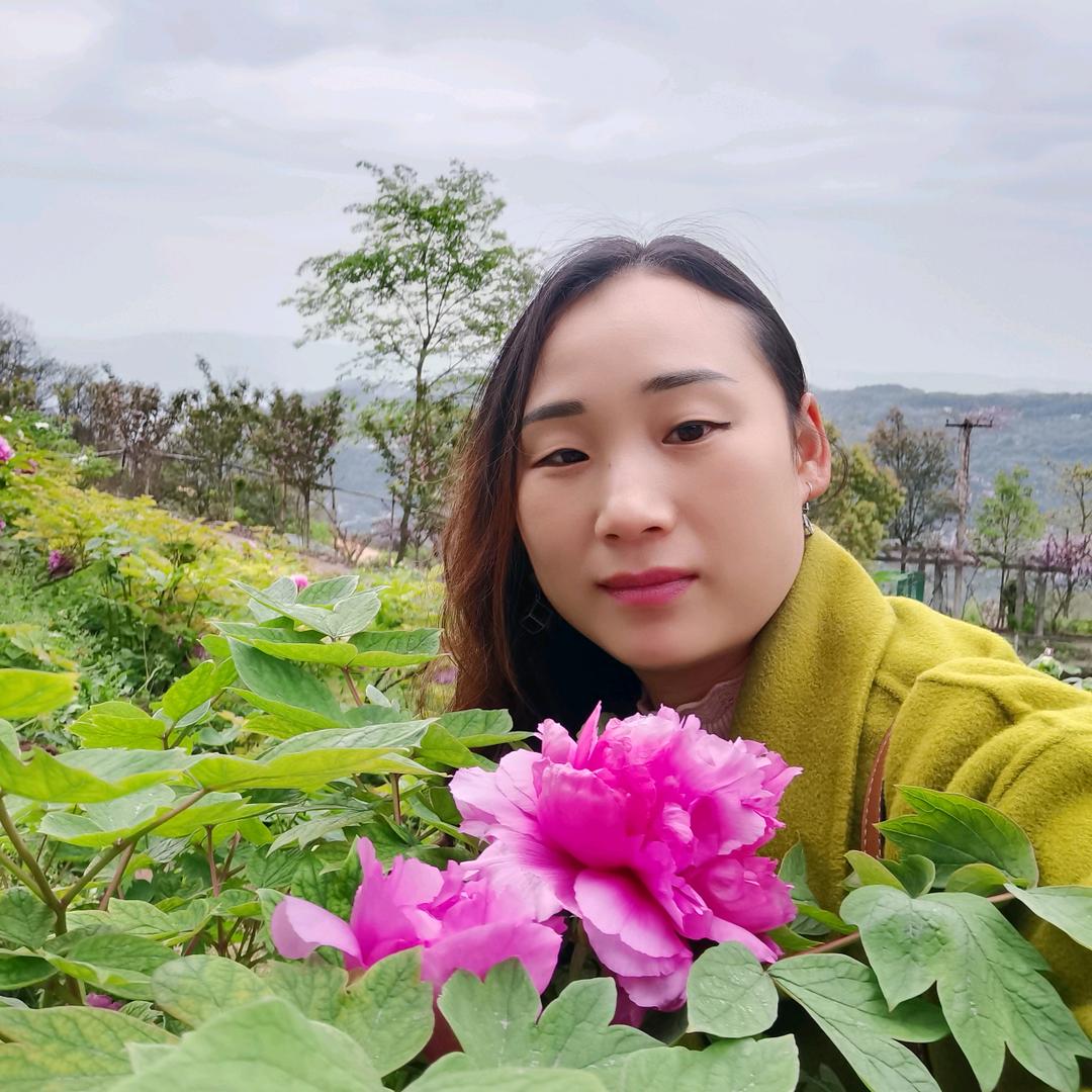 翱翔