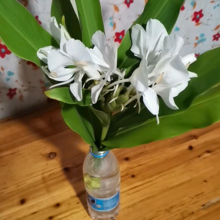 一万年太久，只争朝夕