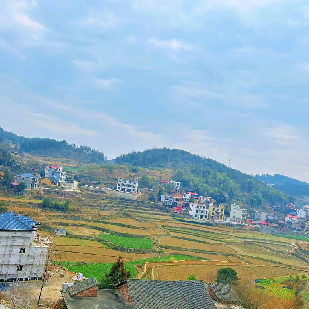 来生不做痴情人