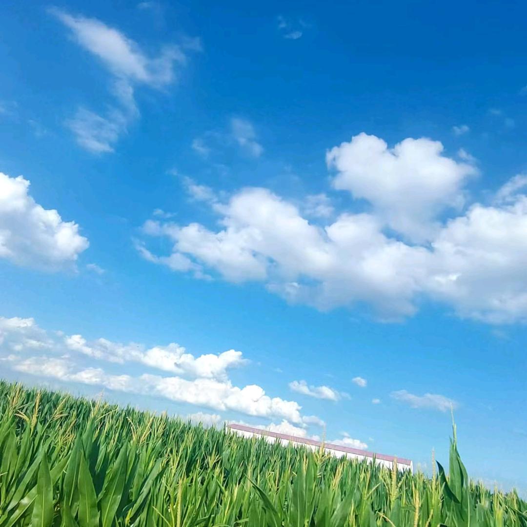 蓝天白云