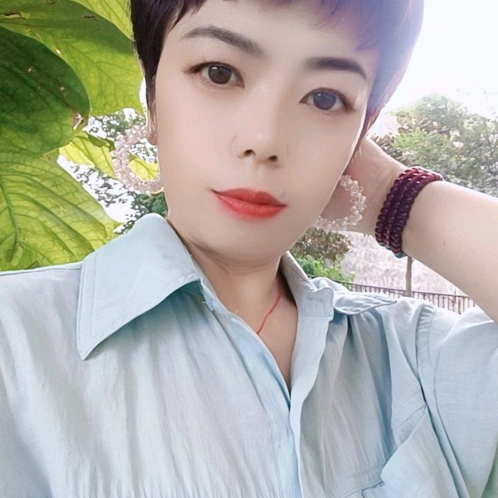 菊
