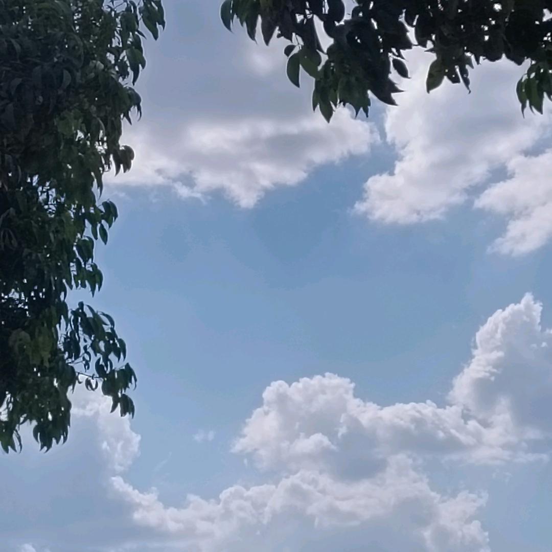 雁儿飞