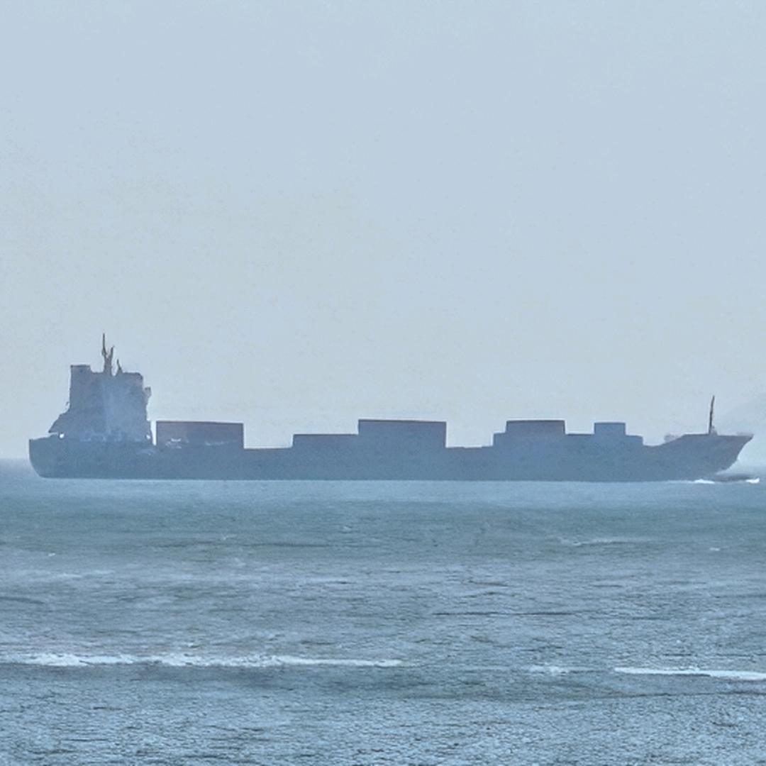 骑着蚂蚁🐜逛大街