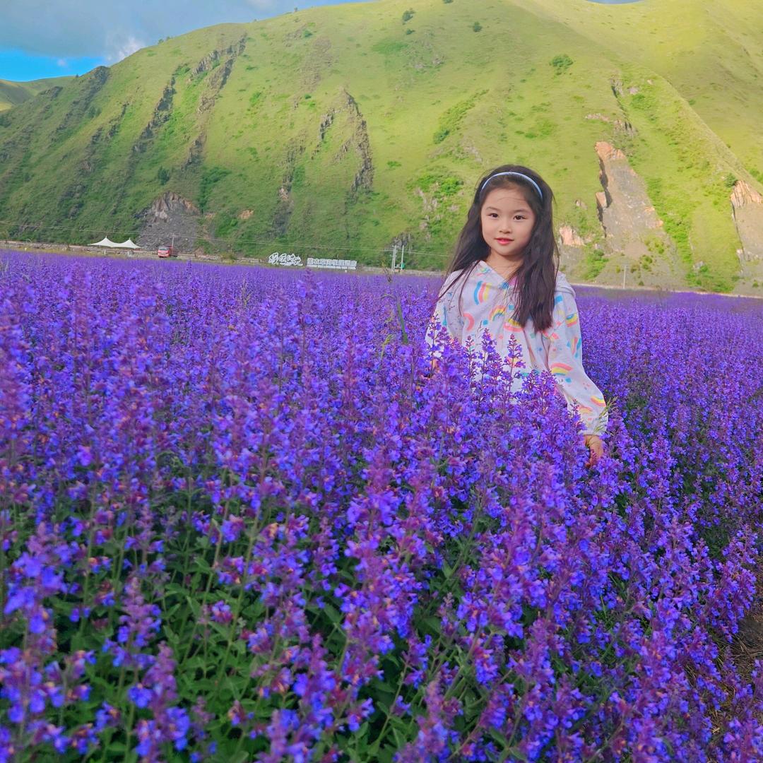 瑾上有榆