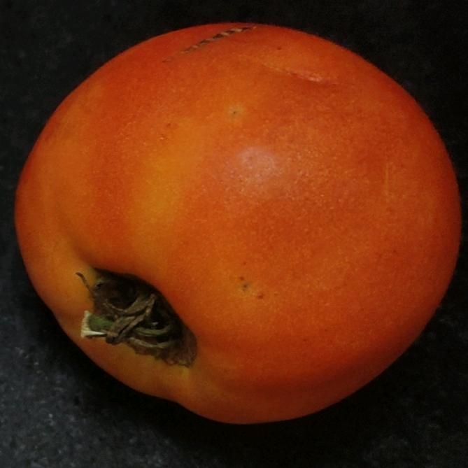 番茄