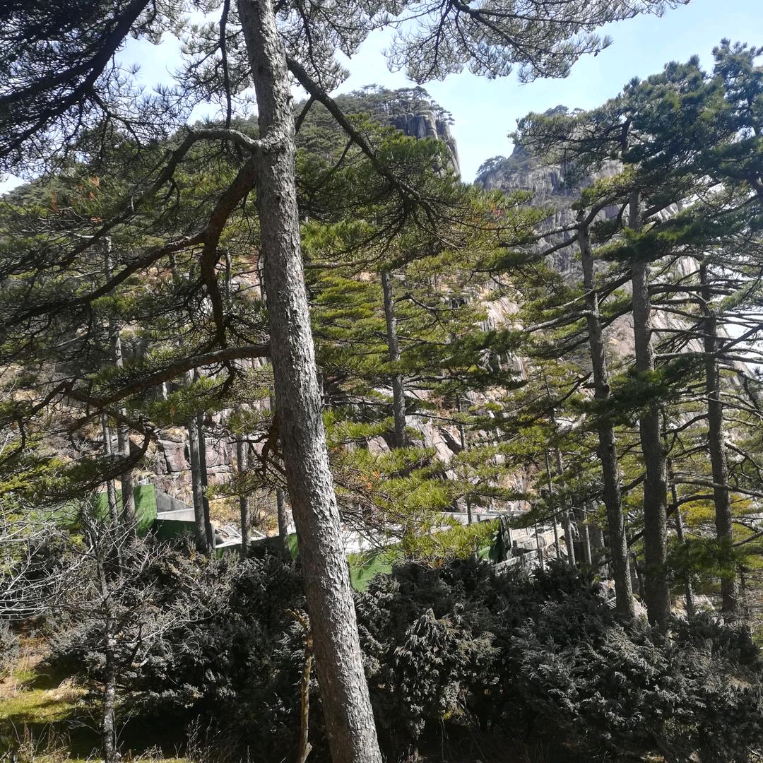 心静如水，一切随缘