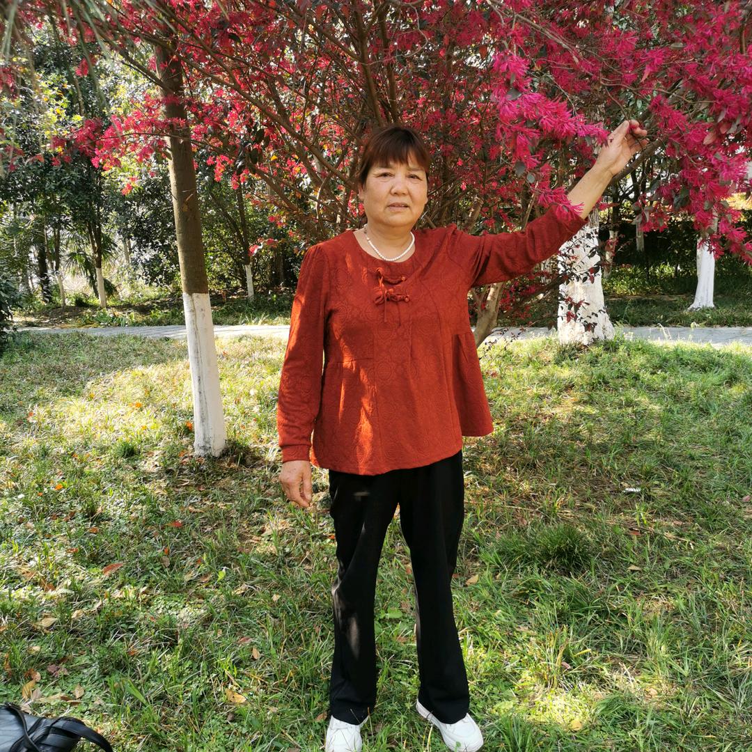 群群