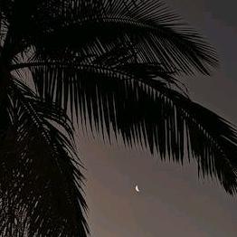 一汐