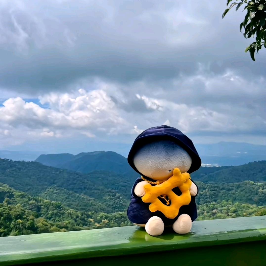 潇洒熏