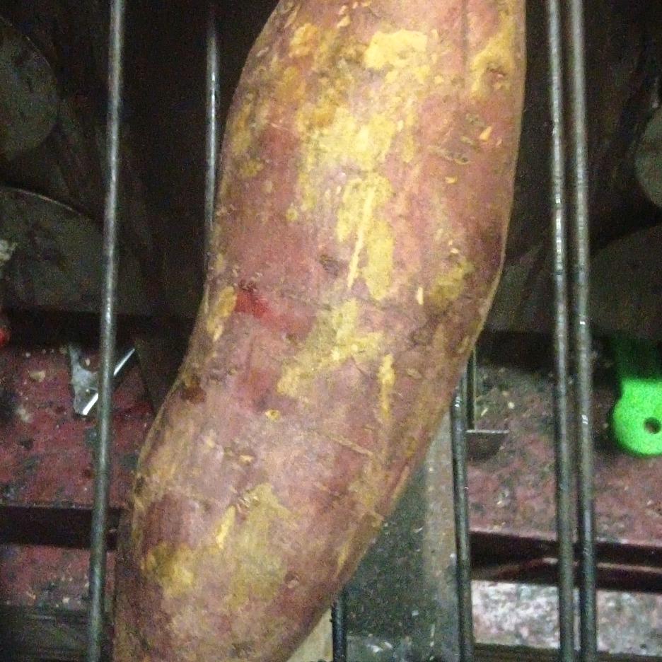 六零后烧蜜薯又香又甜