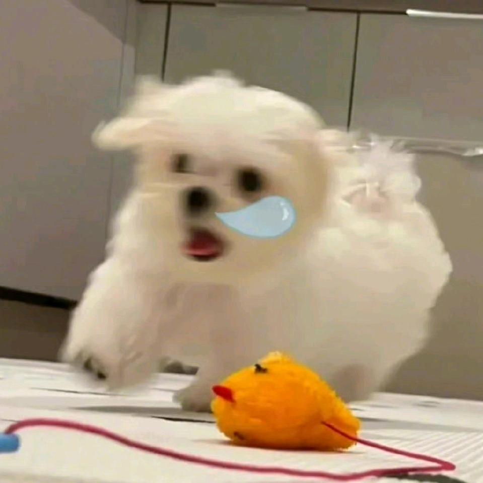 只吃祎口