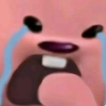 袁州彩毛十三妹