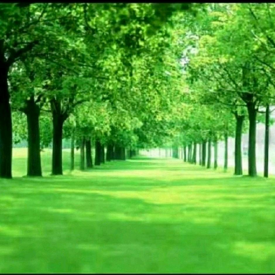 易禅（算丿\字品人生）