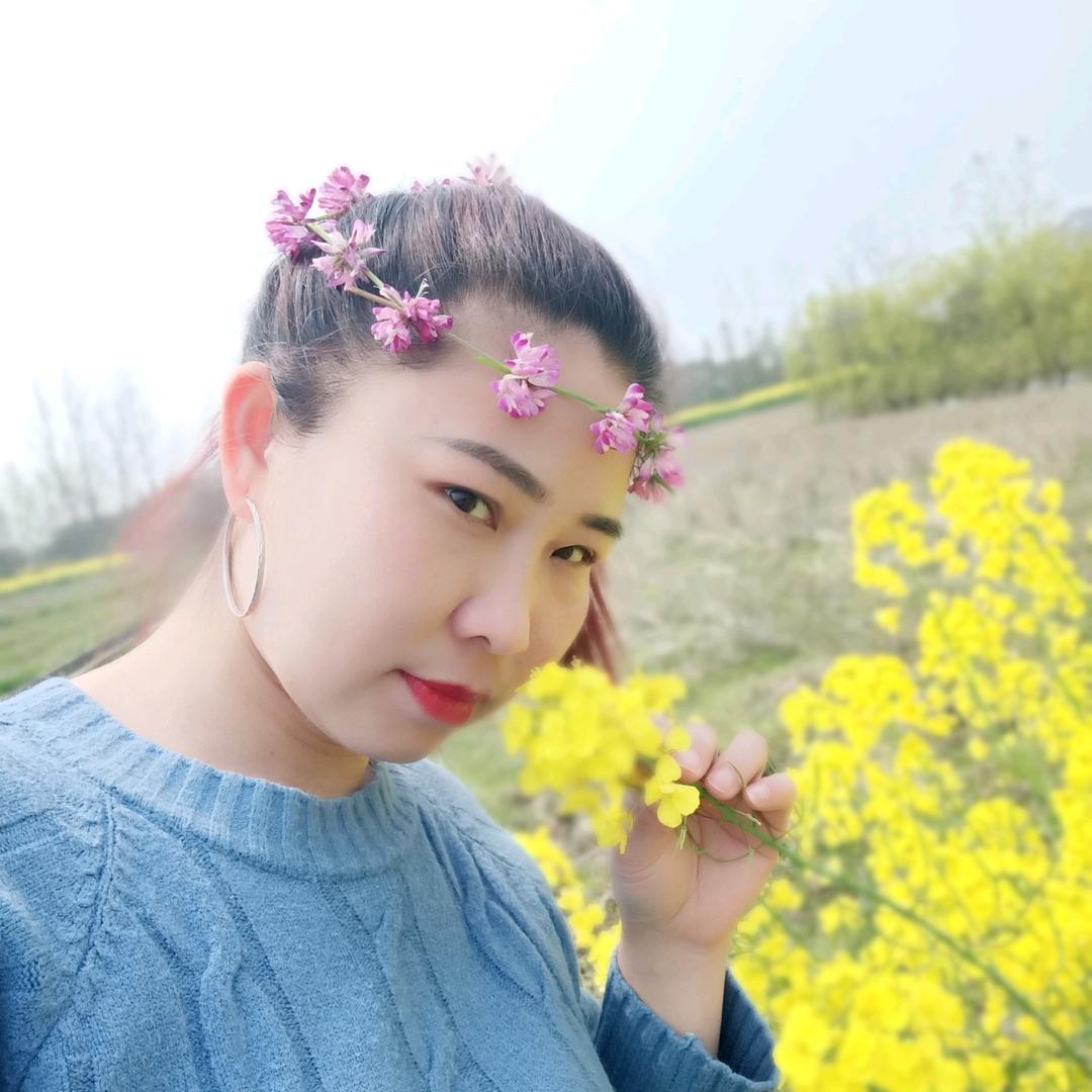 彩云芝南