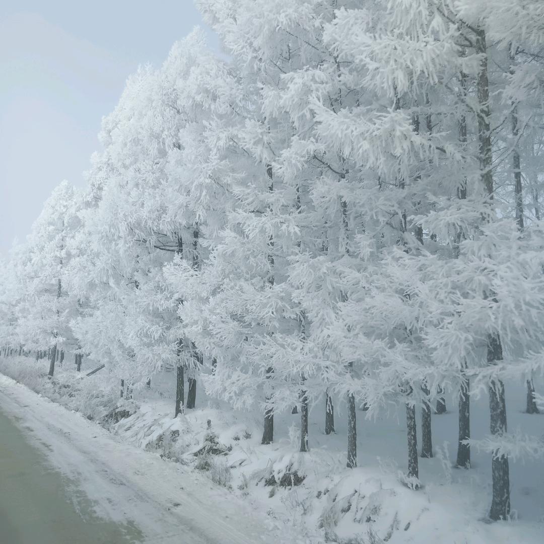 砥砺前行