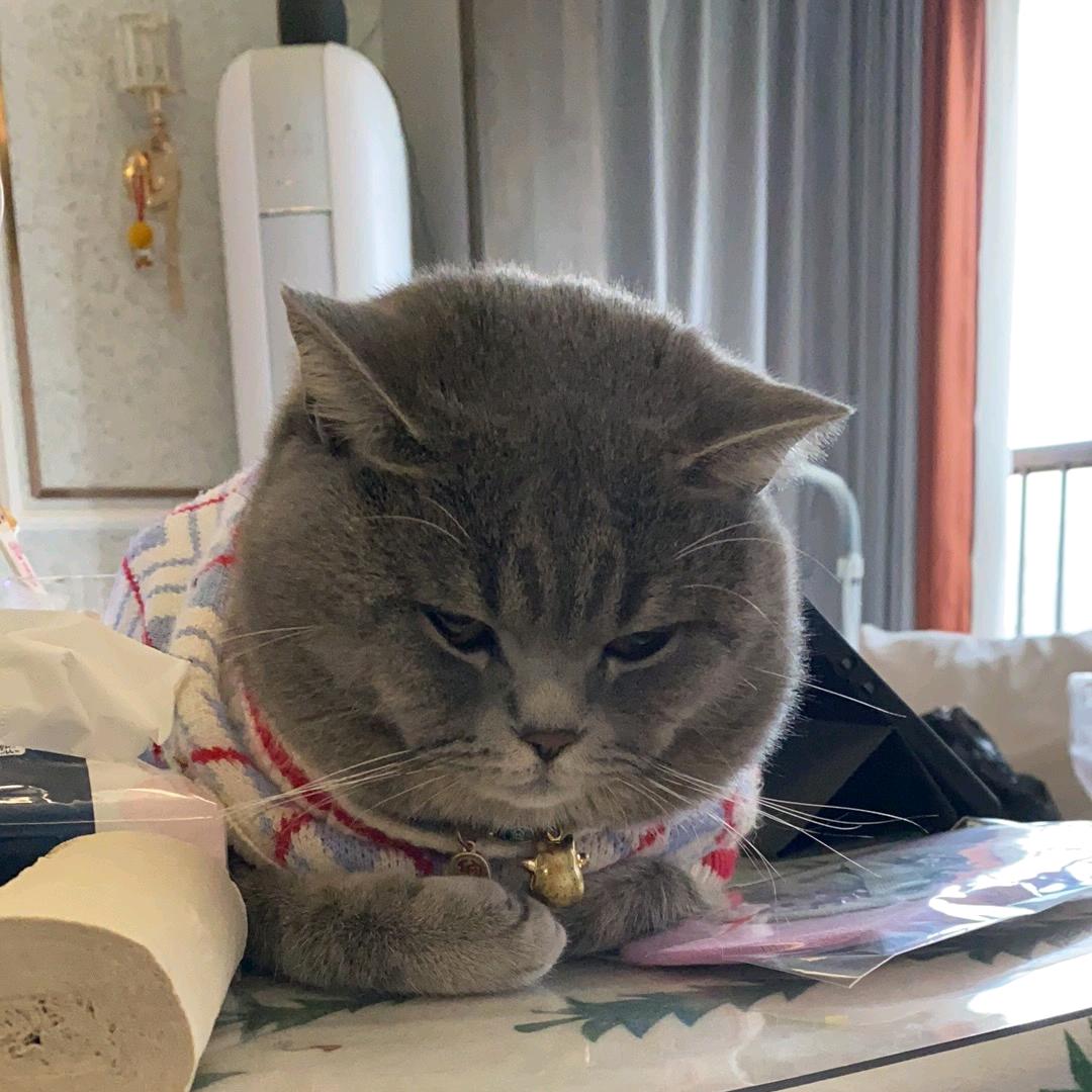 ꧁༺๑大帅๑༻꧂