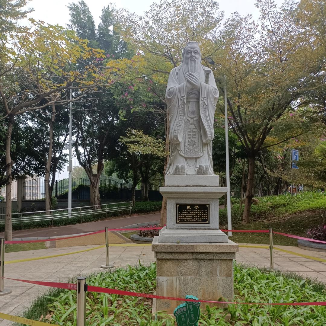 羽毛