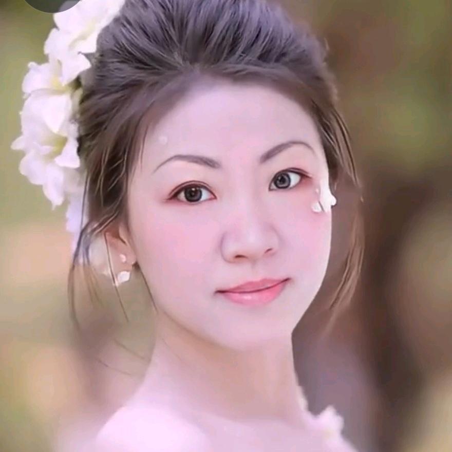 南书