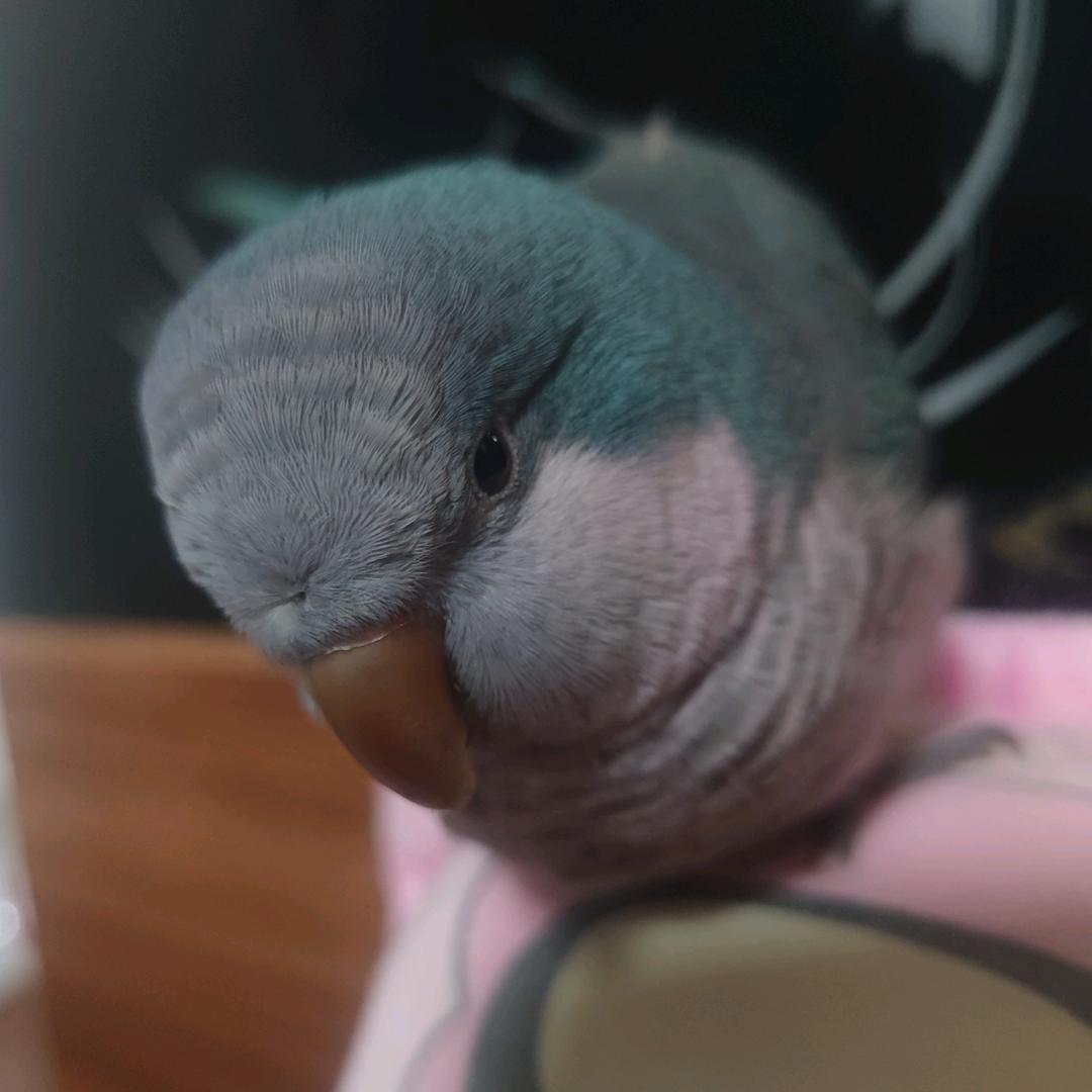 蕰落