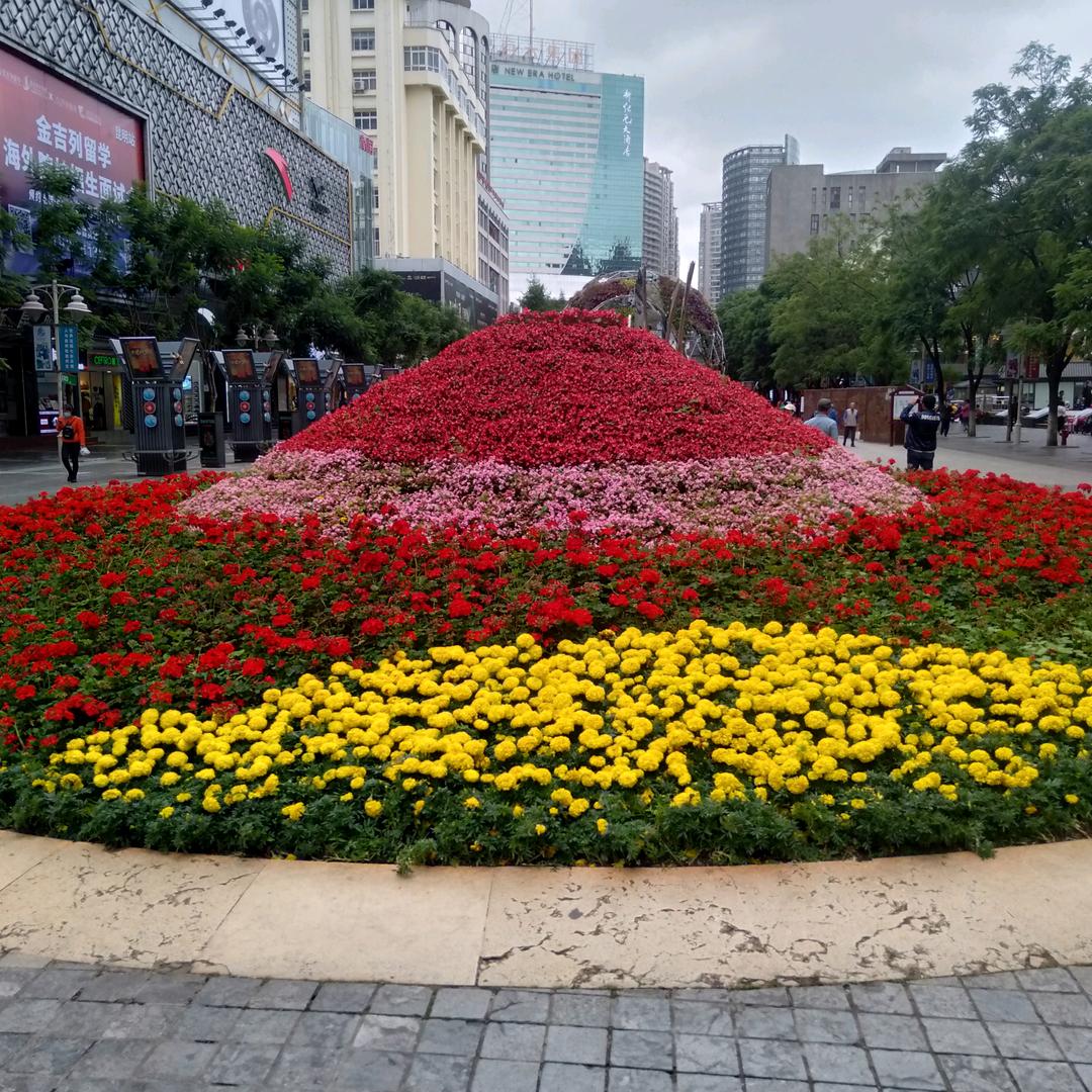 林哥